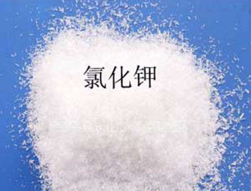 优质粉色视频APP入口免费观看
